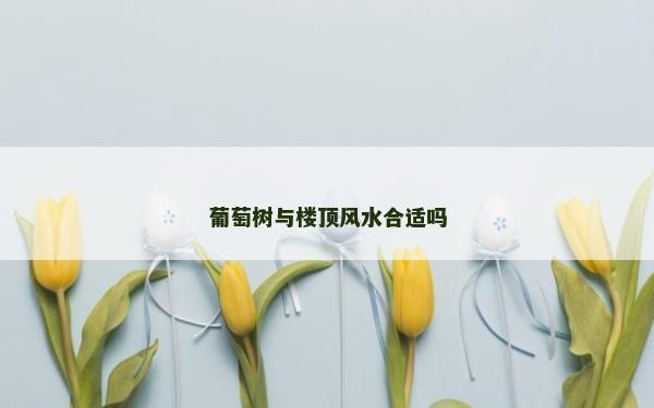 葡萄树与楼顶风水合适吗