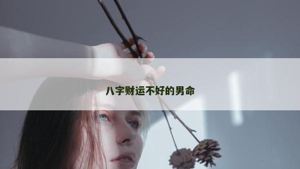 八字财运不好的男命