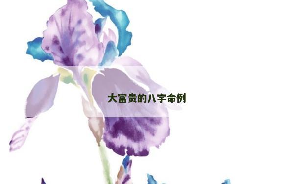 大富贵的八字命例