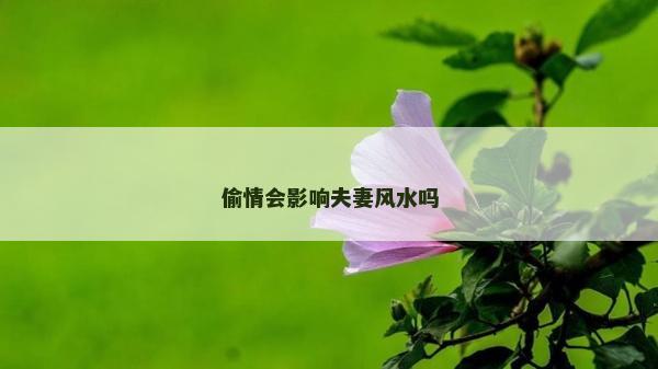 偷情会影响夫妻风水吗