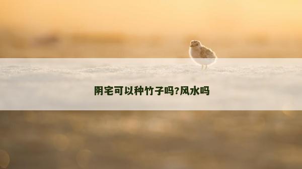 阴宅可以种竹子吗?风水吗
