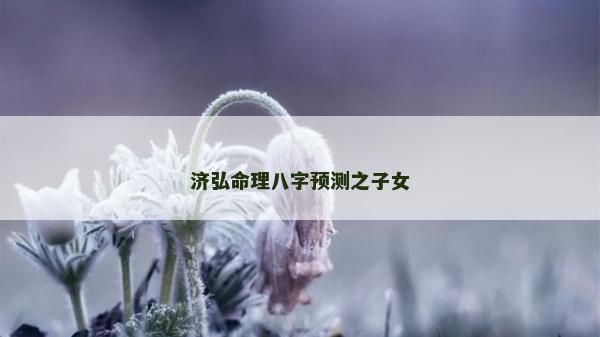 济弘命理八字预测之子女