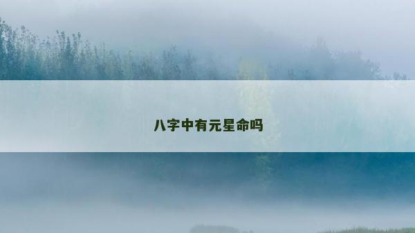 八字中有元星命吗