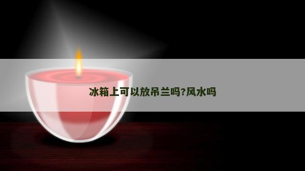 冰箱上可以放吊兰吗?风水吗