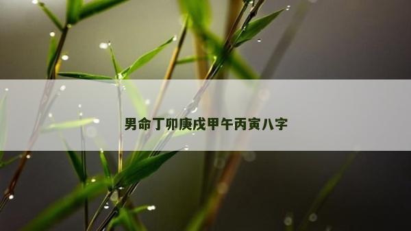 男命丁卯庚戌甲午丙寅八字