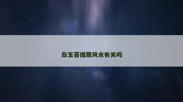 白玉菩提跟风水有关吗