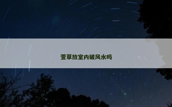 萱草放室内破风水吗