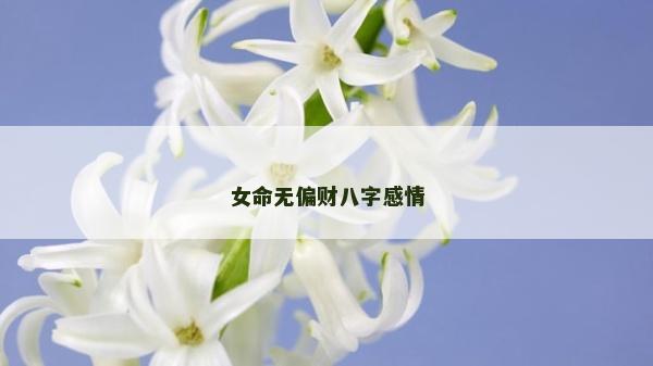 女命无偏财八字感情