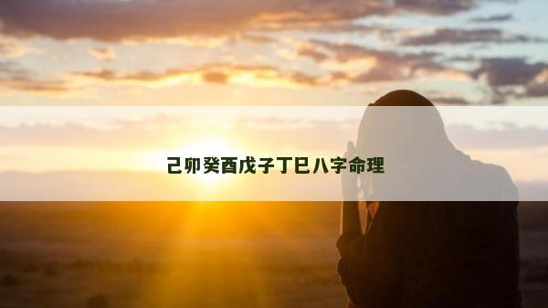 己卯癸酉戊子丁巳八字命理