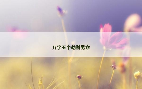 八字五个劫财男命