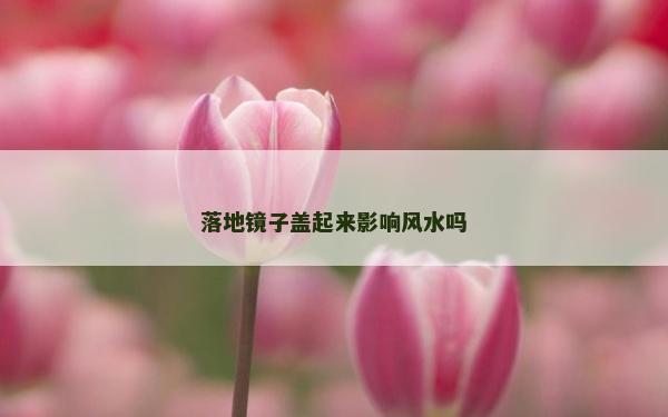 落地镜子盖起来影响风水吗