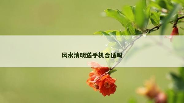 风水清明送手机合适吗