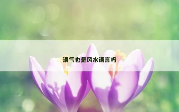 语气也是风水语言吗