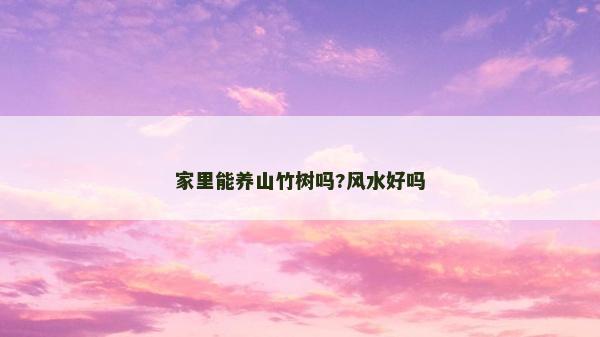 家里能养山竹树吗?风水好吗