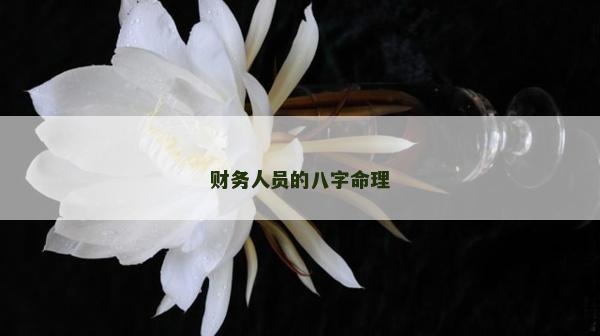 财务人员的八字命理