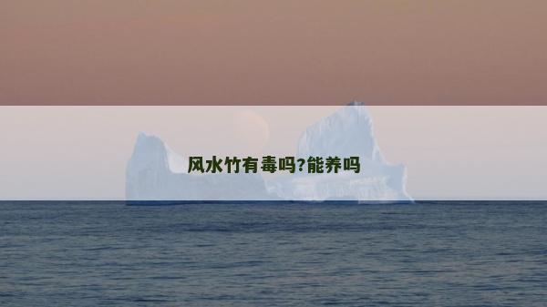 风水竹有毒吗?能养吗