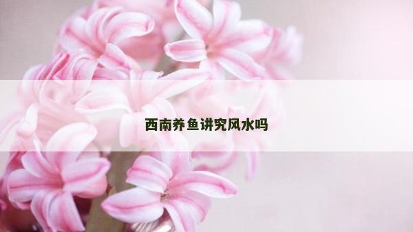 西南养鱼讲究风水吗