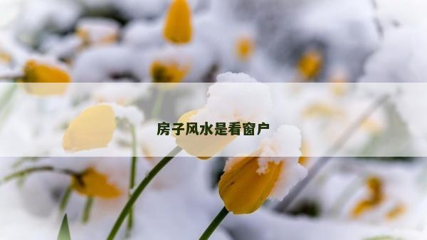 房子风水是看窗户