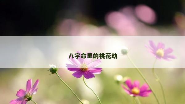 八字命里的桃花劫