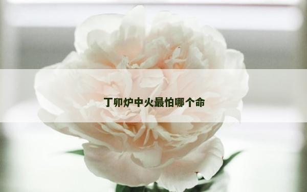 丁卯炉中火最怕哪个命