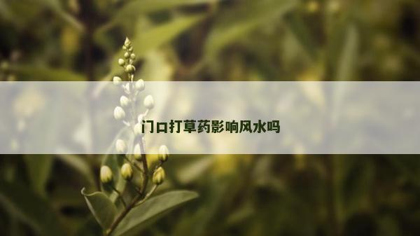门口打草药影响风水吗