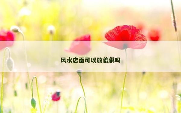 风水店面可以放貔貅吗