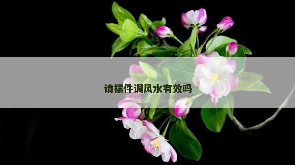 请摆件调风水有效吗