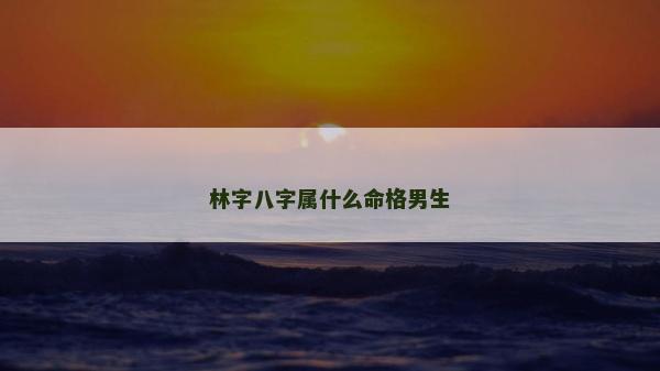 林字八字属什么命格男生