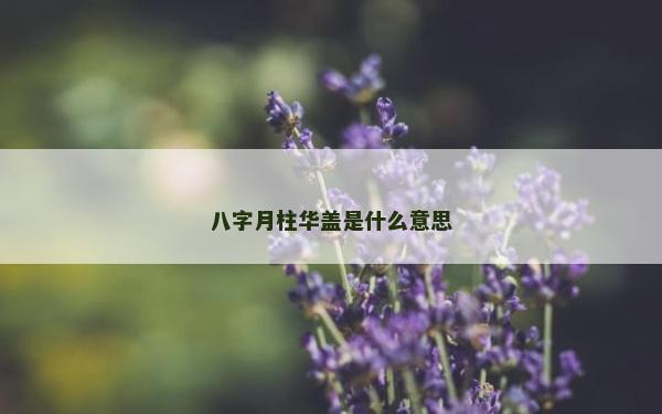 八字月柱华盖是什么意思