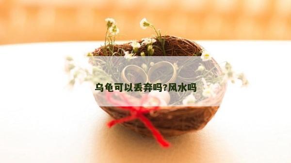乌龟可以丢弃吗?风水吗