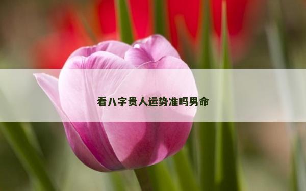 看八字贵人运势准吗男命