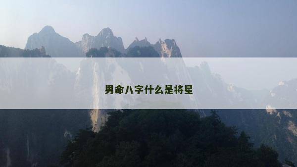男命八字什么是将星