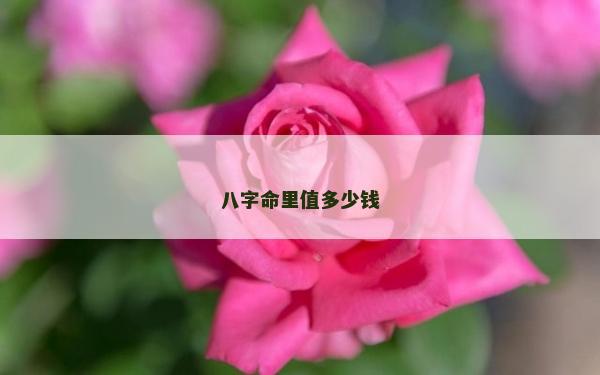八字命里值多少钱