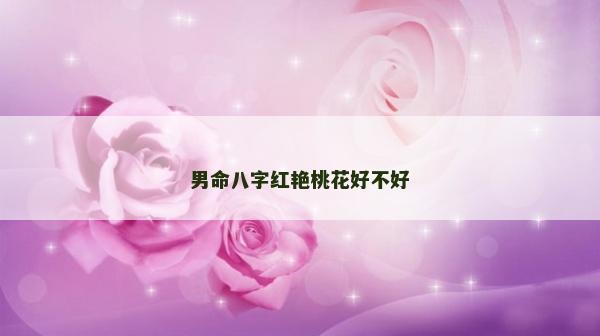 男命八字红艳桃花好不好