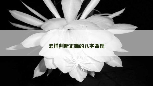 怎样判断正确的八字命理
