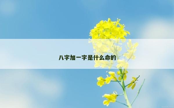八字加一字是什么命的