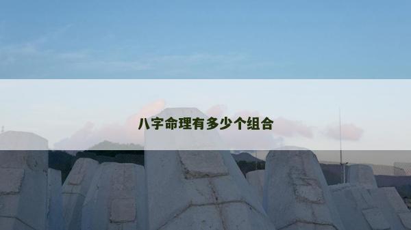 八字命理有多少个组合