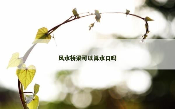 风水桥梁可以算水口吗