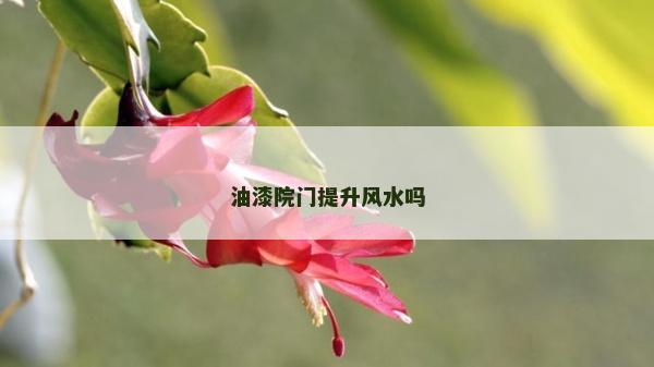 油漆院门提升风水吗