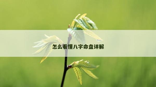 怎么看懂八字命盘详解