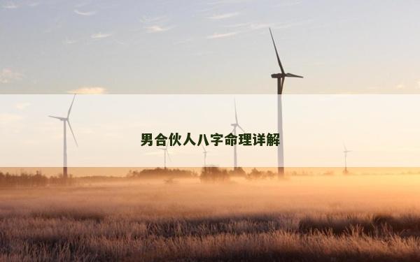 男合伙人八字命理详解