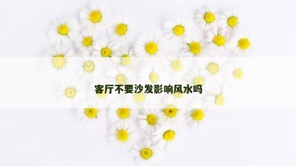 客厅不要沙发影响风水吗