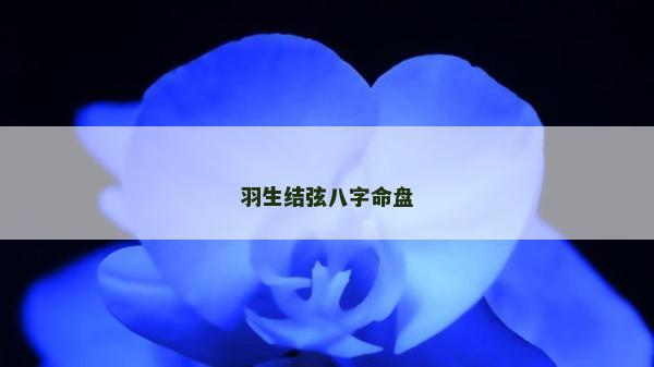 羽生结弦八字命盘