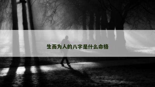 生而为人的八字是什么命格