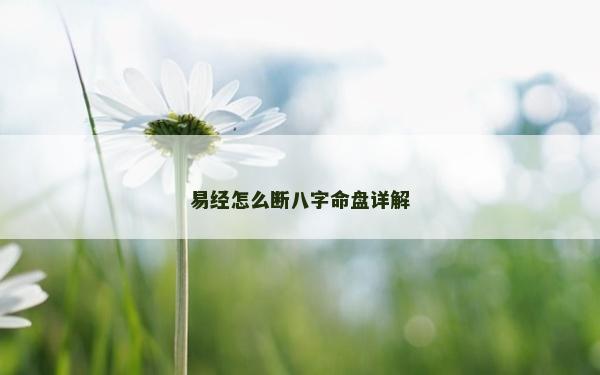 易经怎么断八字命盘详解