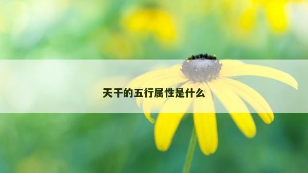 天干的五行属性是什么