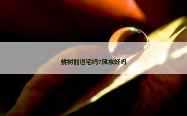 桃树能进宅吗?风水好吗
