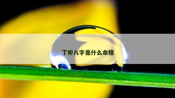 丁卯八字是什么命格