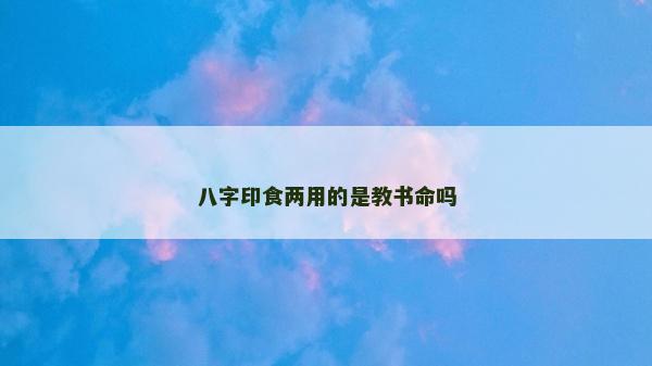 八字印食两用的是教书命吗