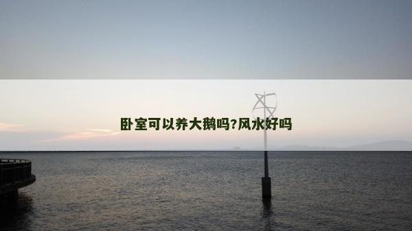 卧室可以养大鹅吗?风水好吗